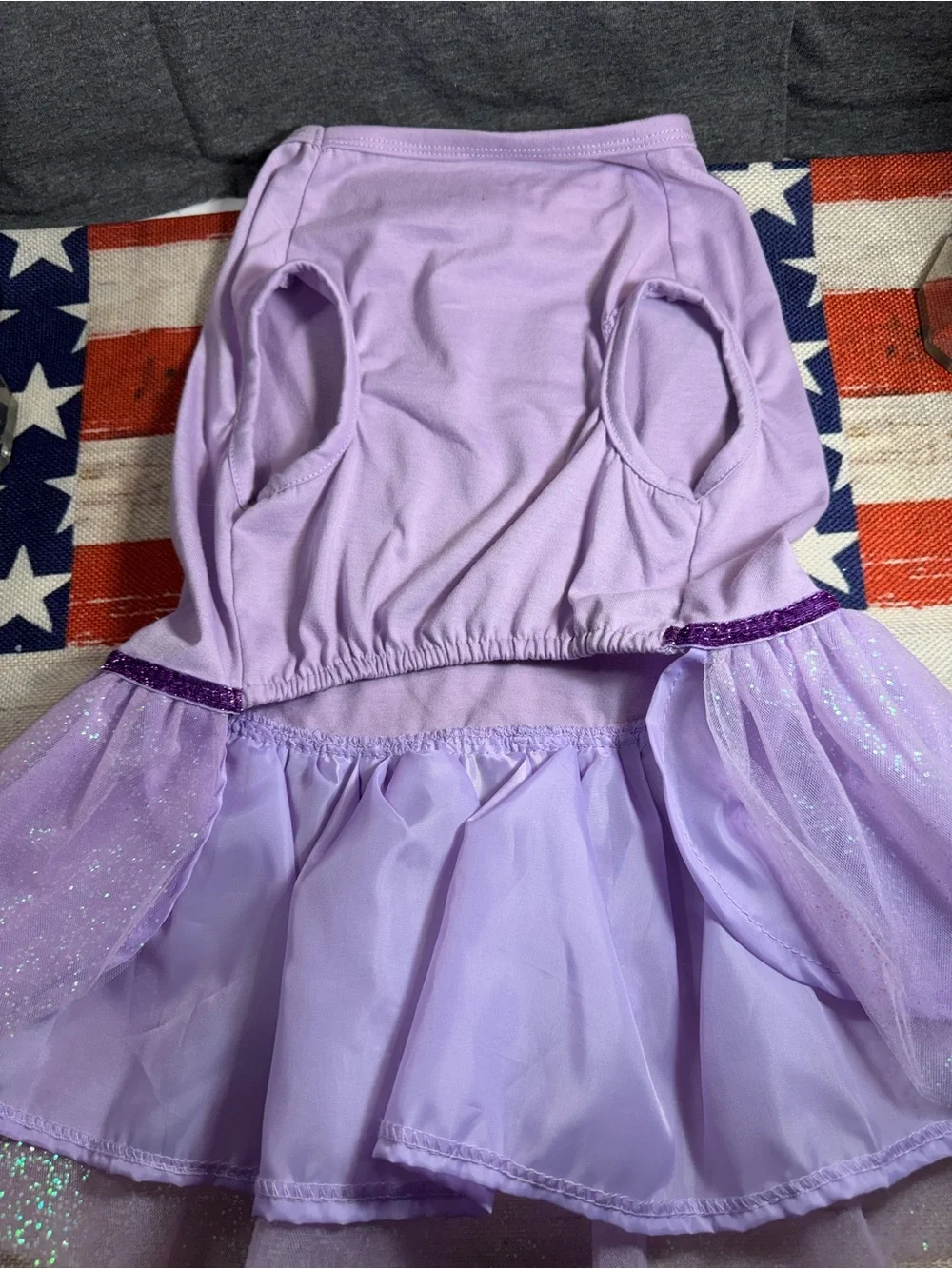 Crown Yourself Lavender Sparkle Dog Dress